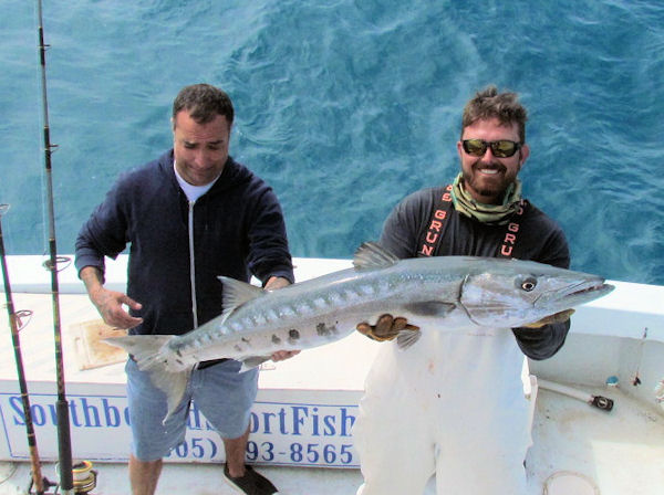 Huge Barracuda caught and released in Key West fishing on Charter Boat Southbound