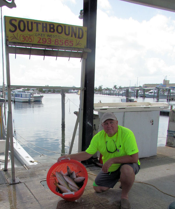 Limit of Delicious snappers caugth in Key West fishing on charter Boat Southbound