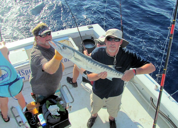 Big Barracuda caugth and released in Key West fishing on charter boat Soutbound