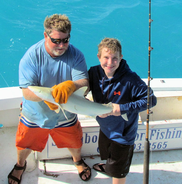 Blacknosed Shark Caught and released in Key West fishing on Charter boat Southbound