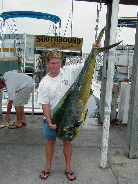 Big Dolphin caught aboard Southbound in Key West Florida in 2003