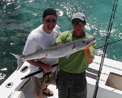 Key West Barracuda
