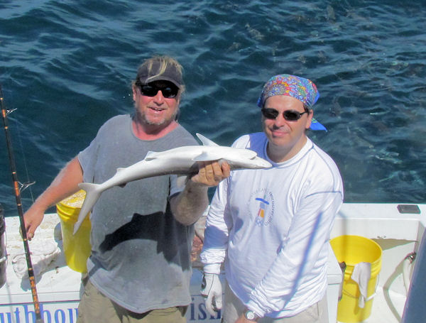 Shark caught in Key West fishing on charter boat Southbound from Charter Boat Row, Key West