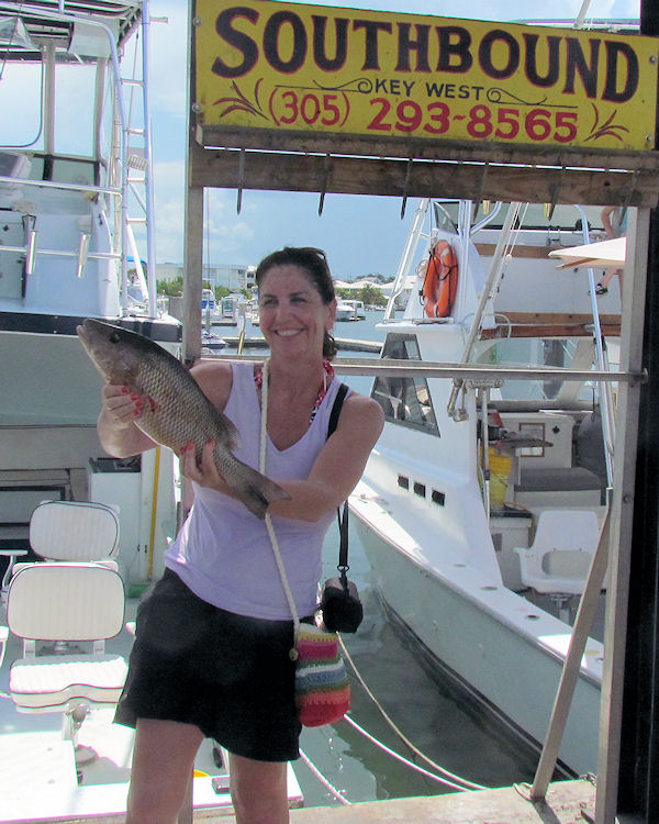 Mangro snapper caught in Key West fishing on charter boat Southbound from Charter Boat Row, Key West