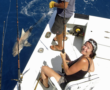 Shark caught fishing Key West on charter boat Southbound