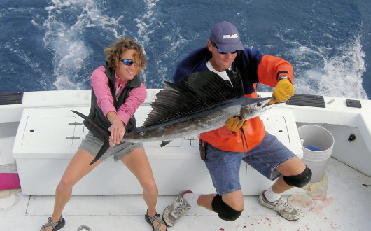 Sailfish Caught fishing aboard Charter Boat Southbound in Key West, Florida