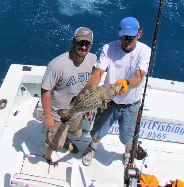 Black Grouper caught and released fishing Key West on charter boat Southbound from Charter Boat Row Key West