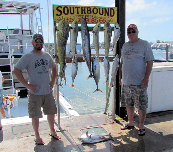 Dolphin, bonito and Wahoo caught fishing Key West on charter boat Southbound from Charter Boat Row Key West