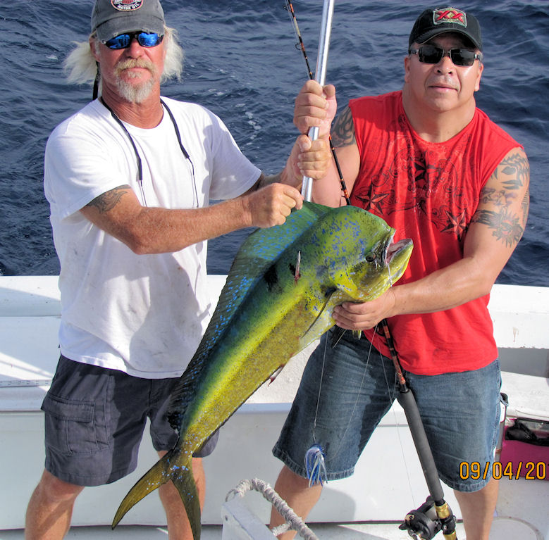 Dolphin caught in Key West fishing on charter boat Southbound from Charter Boat Row Key Wes