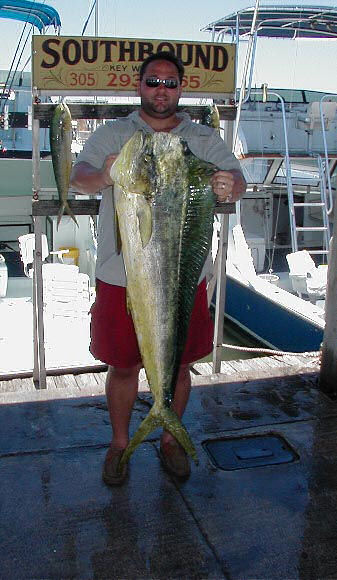 Big Bull Dolphin caught aboard Southbound in Key West Florida in 2004