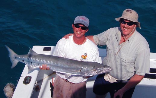 very large Key West Barracuda