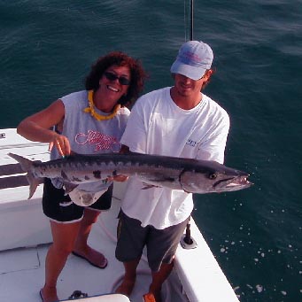 Key West barracuda
