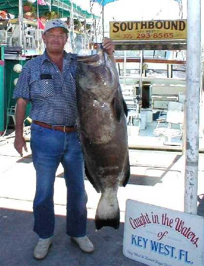Best Grouper caught aboard Southbound in Key West Florida in 2000