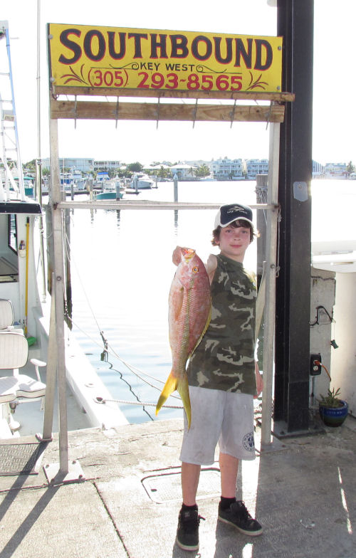 very large Yellow tail snapper caught in Key West fisihing on charter boat Southbound from Charter Boat Row, Key West Florida