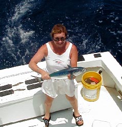 Great Bonito action in Key West