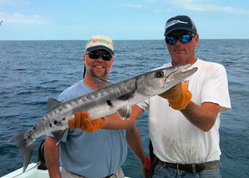 Big Barracuda caught in Key West fishing on Key West Fishing Charter boat Southbound from Charter Boat Row Key West