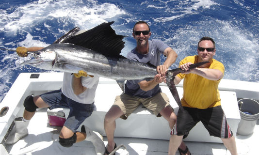 Sailfish caught and released on Key West deep sea fishing charter boat Southbouhd from Charter Boat Row Key West