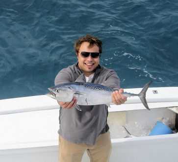 Bonito caught fishing in Key West on charter boat Southbound