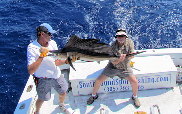 Sailfish caught and released in Key West fishing on charter boat Southbound from Charter Boat Row, Key West