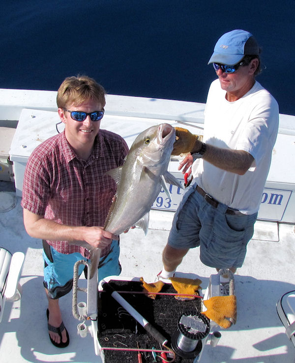 Amberjack caught in Key West fishing on charter boat Southbound from Charter Boat Row, Key West