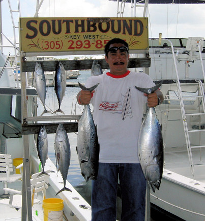 Bonito caught fishing on Charter Boat Southbound  in Key West Florida