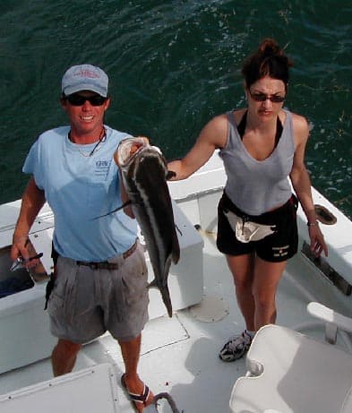 Throwback Cobia in Key West, Florida