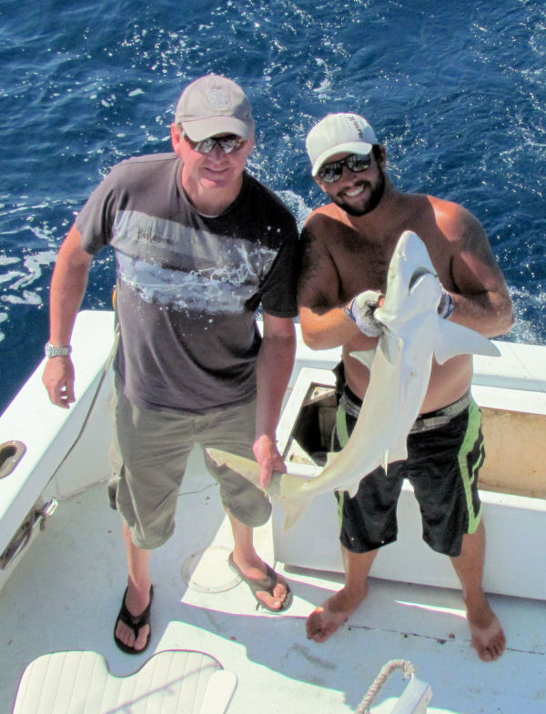 Shark caught in Key West fisihing on charter boat Southbound from Charter Boat Row, Key West Florida