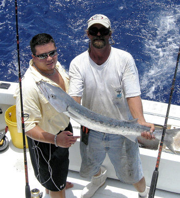 Barracuda caught fishing on charter boat Southbound in Key West, Florida