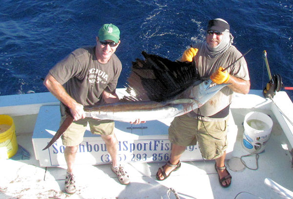 Sailfish caught and released fishing Key West on charter boat Southbound from Charter Boat Row Key West