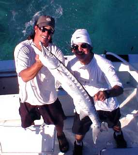 Barracuda fishing in Key West Florida
