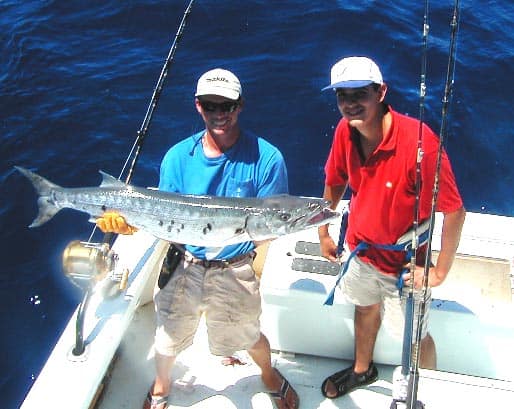Big Key West Barracuda