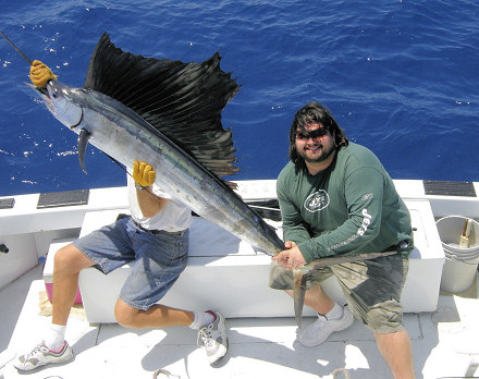 Sailfish caught fishing in Key West, florida on charter boat Southbound