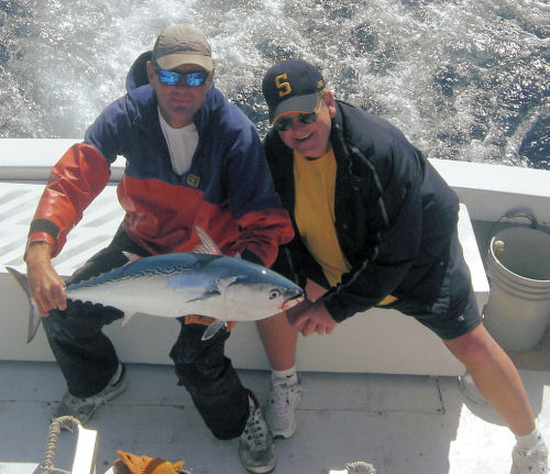 Bonito caught in Key West fishing on charter boat Southbound from Charter Boat Row, Key West