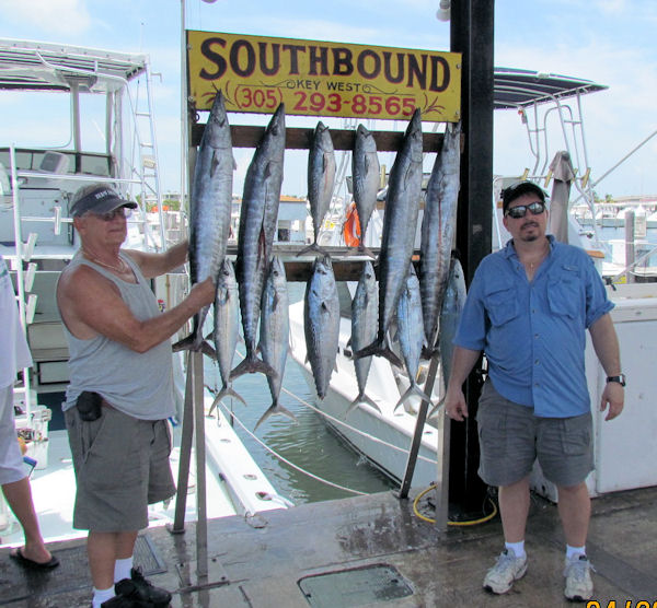 Wahoo, bonito and Mackerel caught fishing Key West on charter boat Southbound from Charter Boat Row Key West