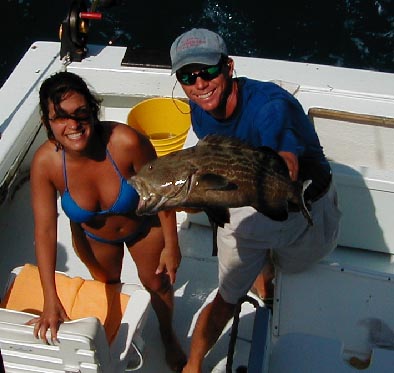 Key West  Grouper