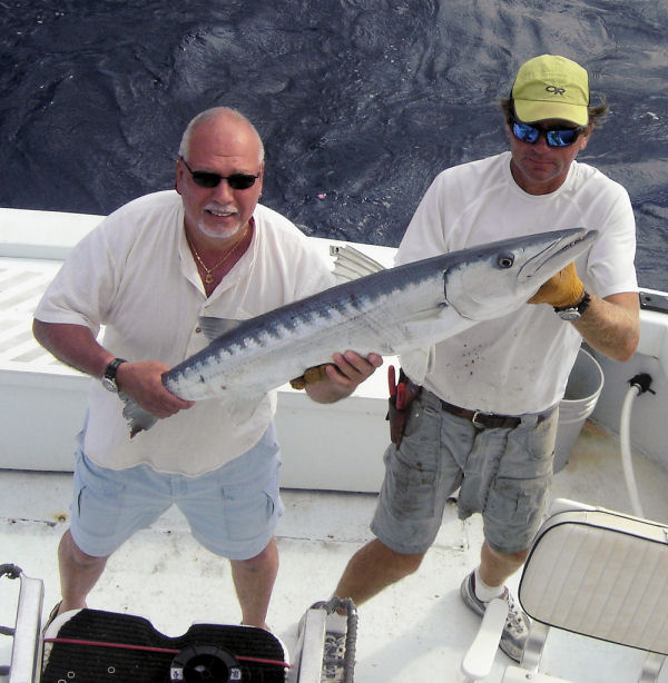 Barracuda caugth in Key West fishing on Key West charter boat Southbound from Charter Boat Row