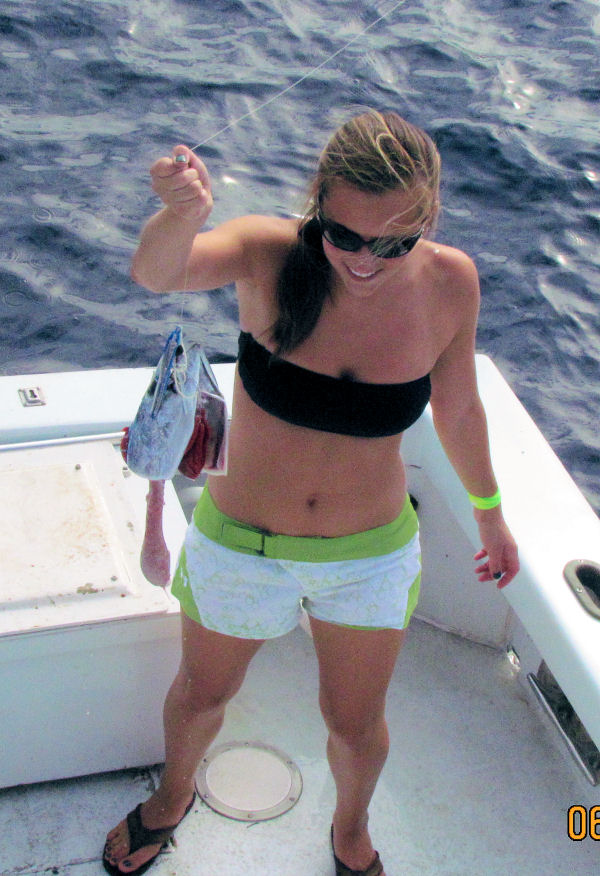  Bonito eaten while being  caught in Key West fishing on charter boat Soutbhbound from Charter Boat Row Key West