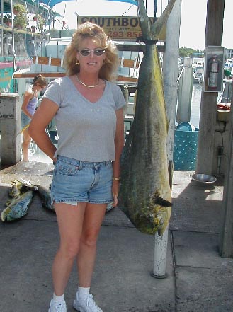 29 lb. Dolphin in Key West, Florida