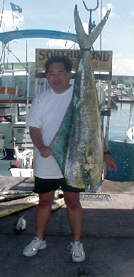37 lb. Dolphin in Key West, Florida
