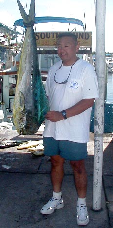 25 lb. Dolphin In Key West, Florida