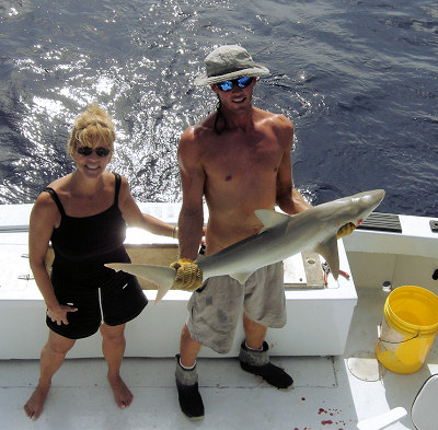 shark  caught fishing on charter boat Southbound in Key West, Florida