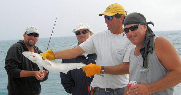 Small Shark caught and released fishing Key West on charter boat Southbound