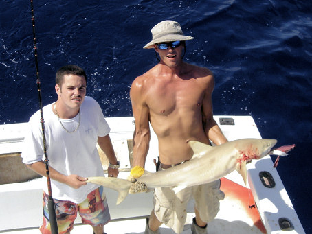 Shark  caught fishing on charter boat Southbound in Key West, Florid