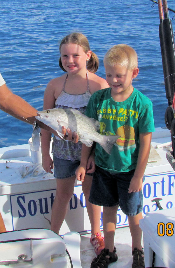 Big Gray Snapper caught in Key West fishing on charter boat Southbound from Charter Boat Row