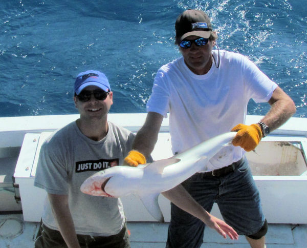 Shark caught fishing in Key West on Charter Boat Southbound from Charter Boat Row Key West