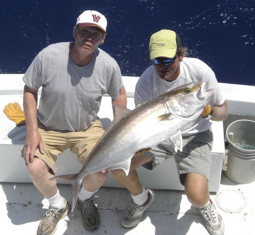 Amberjack caught in Key West fishing on charter boat Southbound from Charter Boat Row Key West