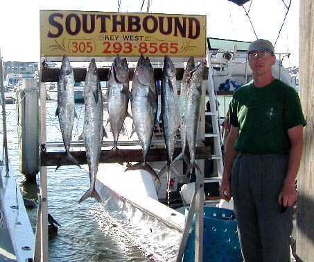 Kingfish and Blackfin Tunas