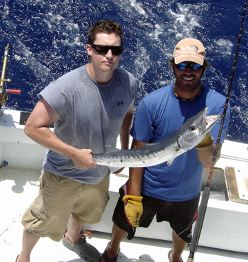 Barracuda caught while fishing on charter boat Southbound in Key West, Florida