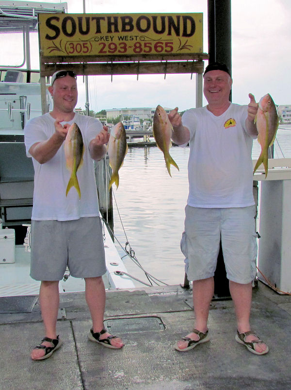 Yellow tail snappers caught in Key West fishing on charter boat Soutbhbound from Charter Boat Row Key West