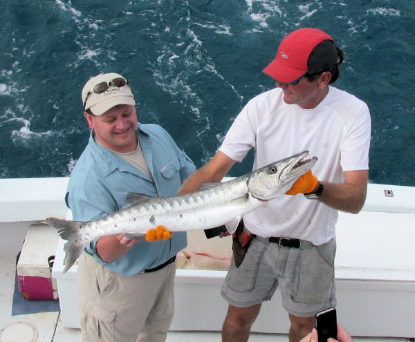 Barracuda caught in Key West fishing on charter boat Southbound from Charter Boat Row Key Wes